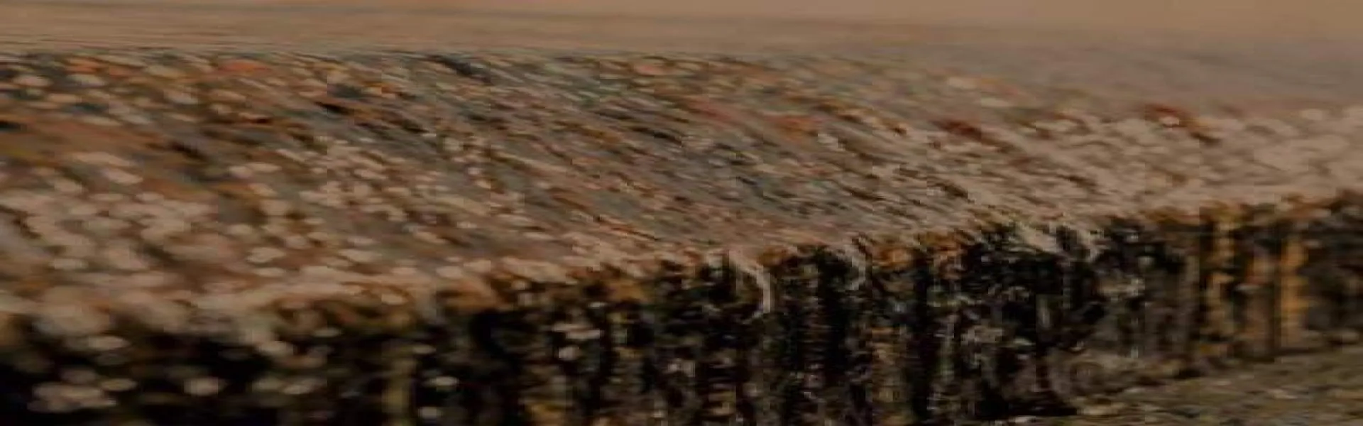 Neutralização do pH