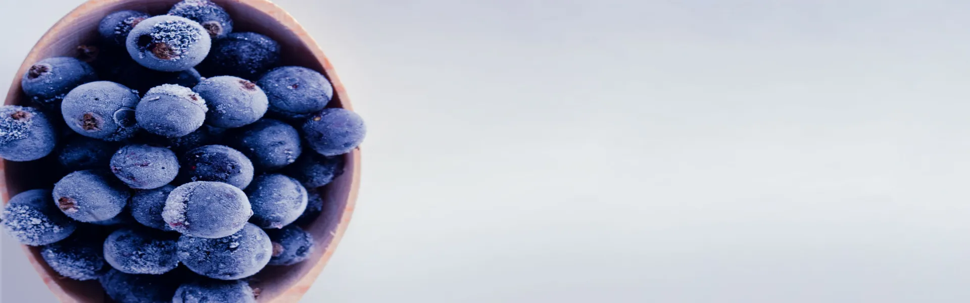 Gases de qualidade alimentar ALIGAL