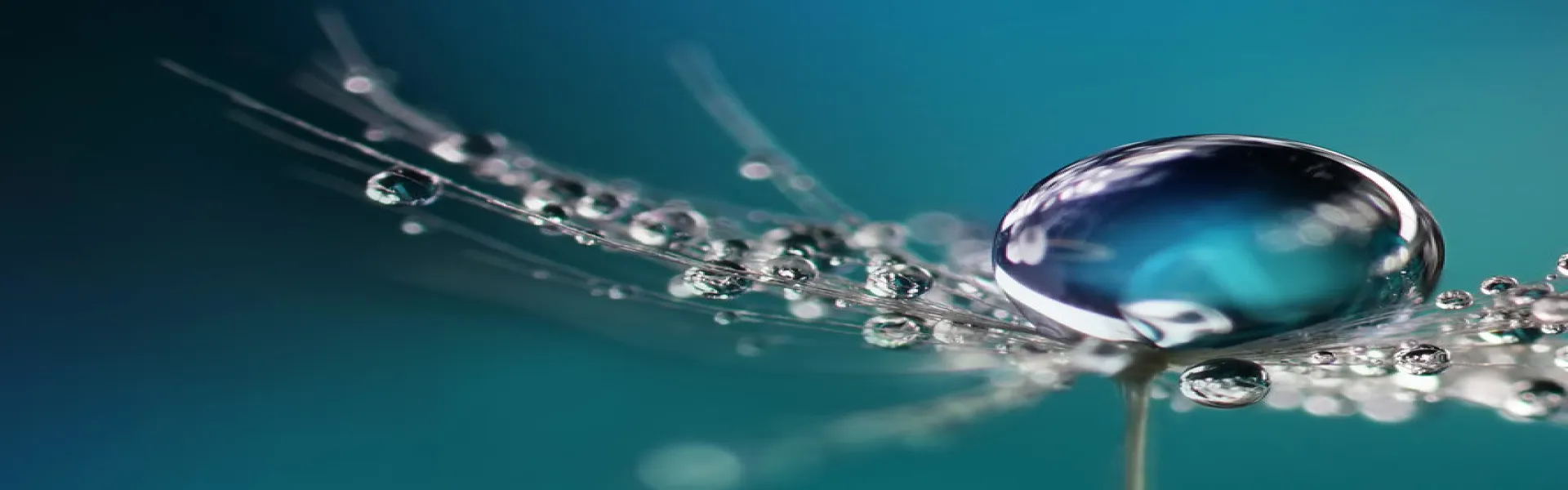 Environnement durable