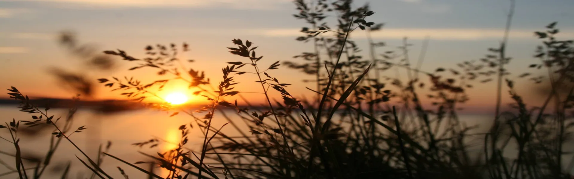 Soluções para o desenvolvimento sustentável