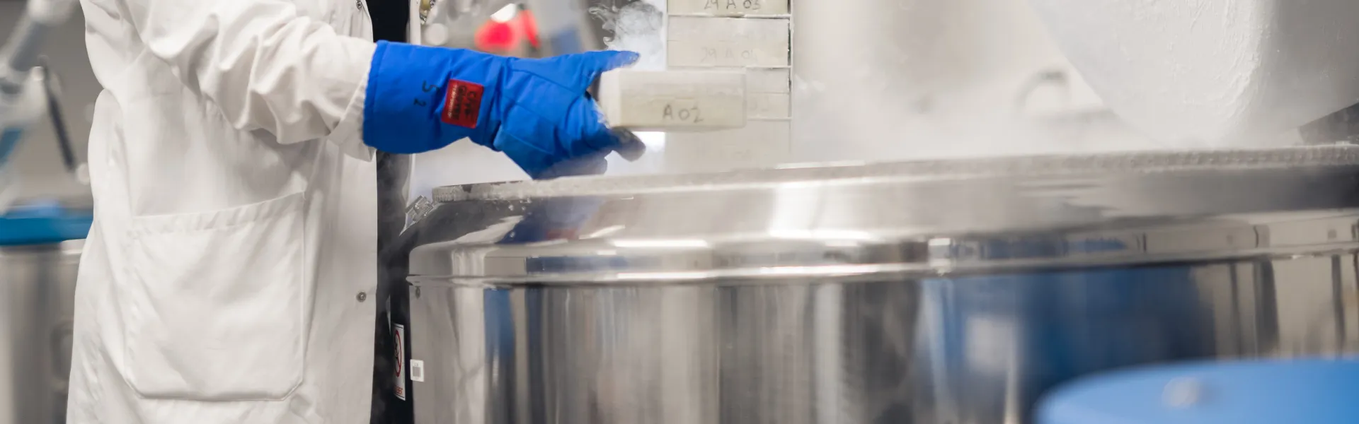 Materiais para criopreservação