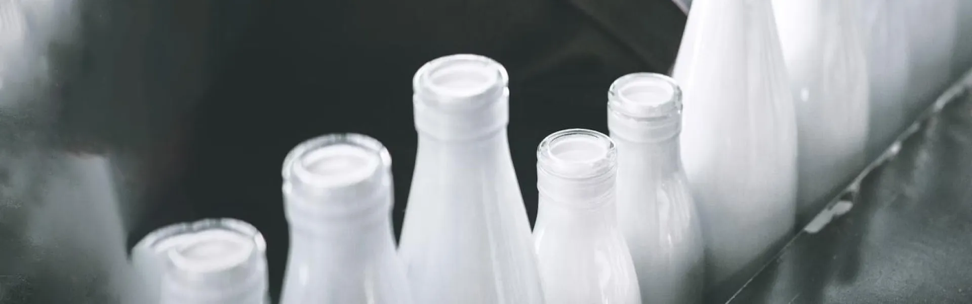 Solutions pour la transformation des produits laitiers (Banner)