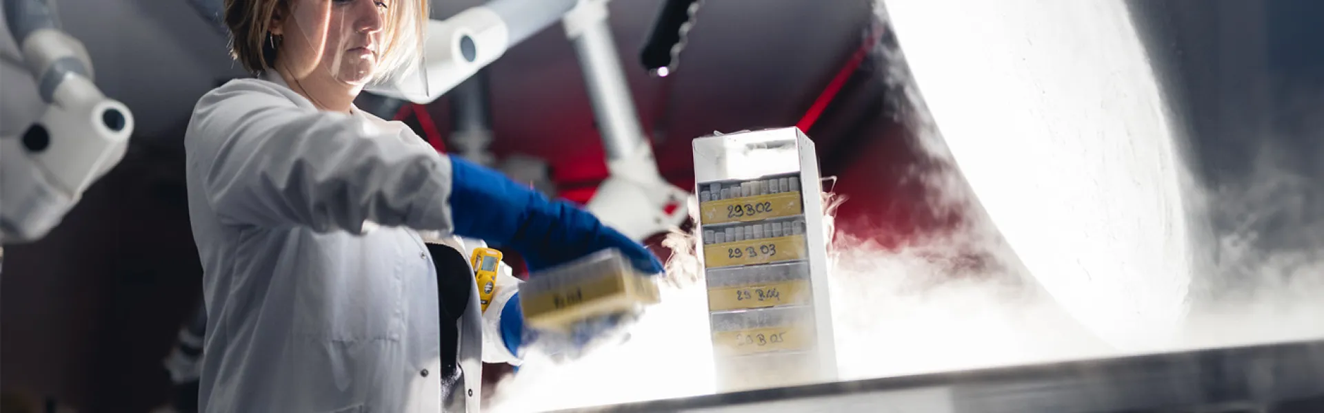 Equipamentos e serviços de gases para investigação e análise em laboratório