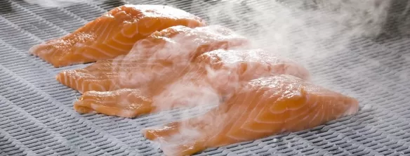 Arrefecimento e congelação de alimentos