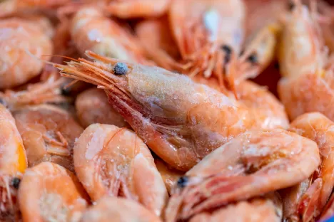 Arrefecimento criogénico de produtos alimentares