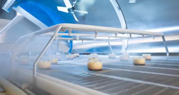 Linha de produção de criogenia alimentar