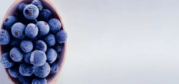 Gases de qualidade alimentar ALIGAL