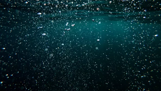 Descubra o Tratamento Biológico de Águas