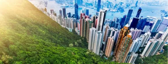 Transformar resíduos em energia renovável