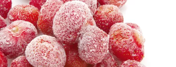 Nexelia™ para Congelação e Refrigeração