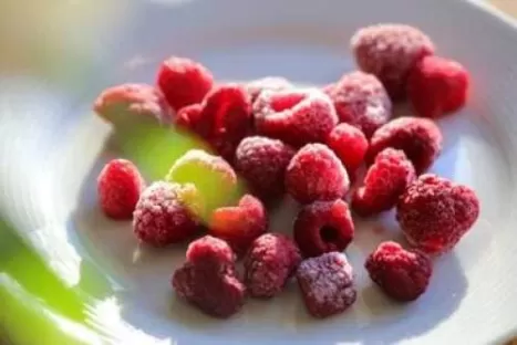 Produção e processamento de alimentos