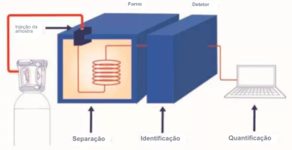 O princípio da cromatografia em fase gasosa