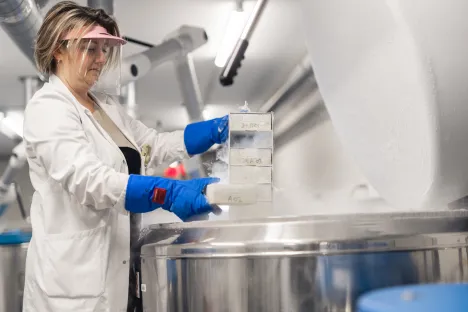 Materiais para criopreservação