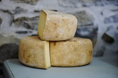 Solutions gaz pour les producteurs de fromages