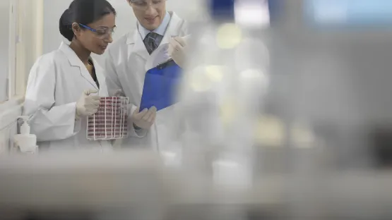 Técnicos de laboratório analisando resultados