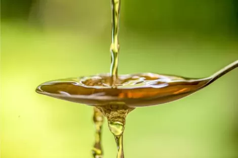 A inertização com azoto - Óleo