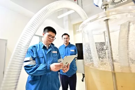 Apoio técnico especializado para o seu processo