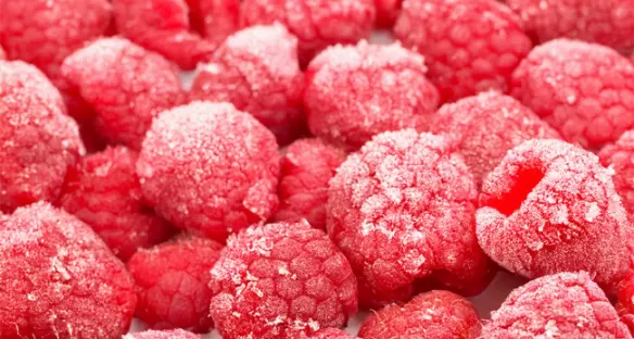 Indústrias alimentares - Criogenia alimentar