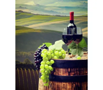 Controlo dos gases dissolvidos: preservar a qualidade do vinho, da videira à garrafa