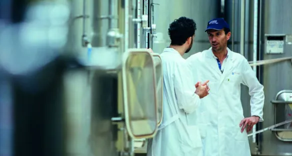 Um acompanhamento técnico