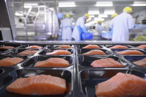 Aplicações do oxigénio nos mercados alimentar e farmacêutico