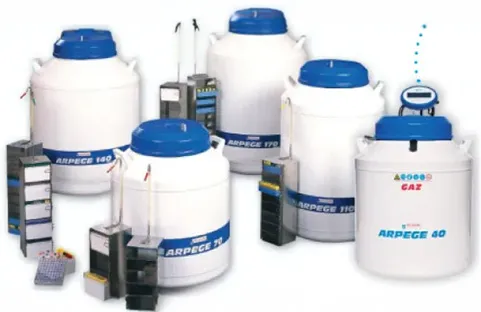 Materiais para a criopreservação: proteção absoluta das suas amostras