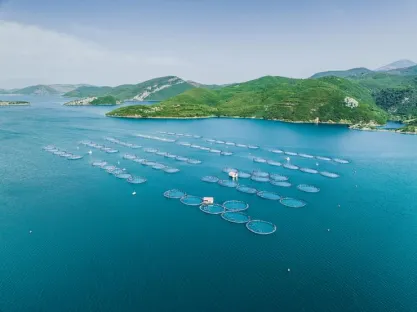Vista aérea de uma grande piscicultura na superfície de um lago