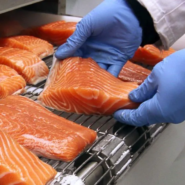 Indústria alimentar