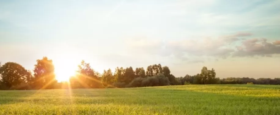 La traiettoria di riduzione della CO2 di Air Liquide entro il 2035 è convalidata dall'iniziativa Science Based Targets (SBTi) .pdf