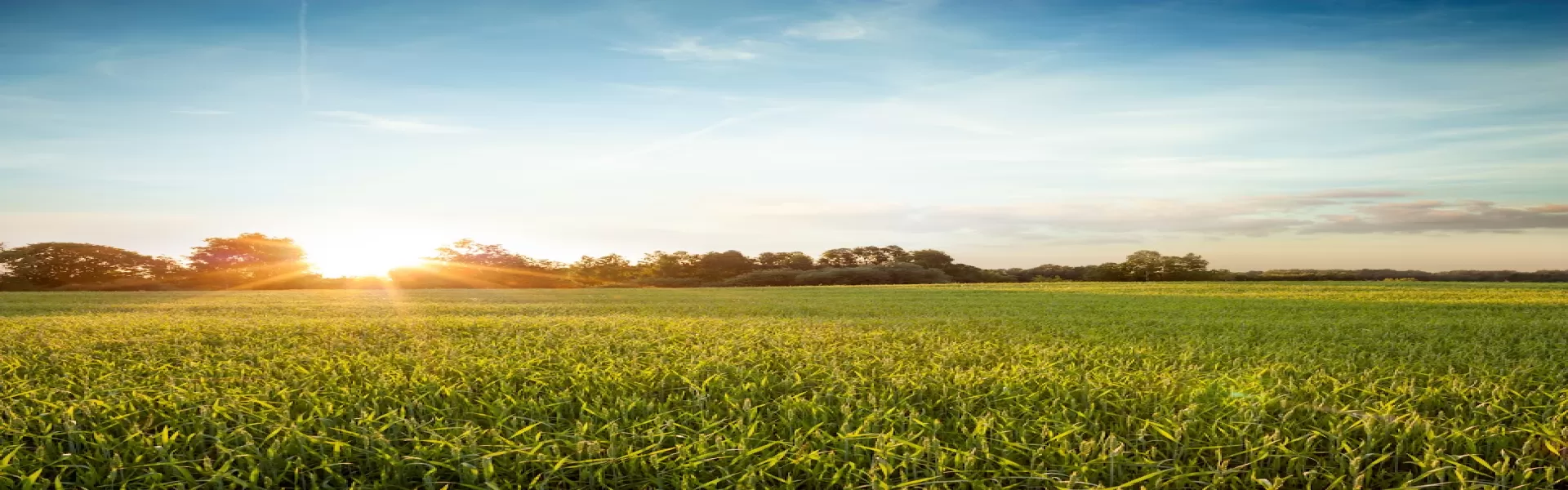 Avancer ensemble, pour la préservation de l’environnement