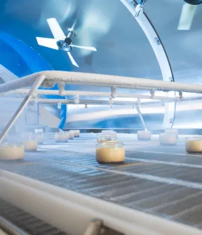 Linha de produção de criogenia alimentar