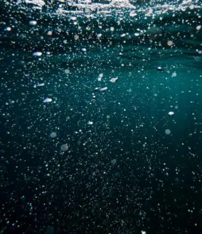 tratamento_biológico_soluções