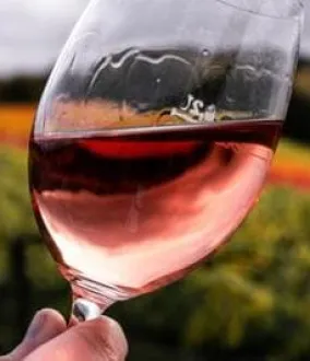 Soluções para a indústria do vinho