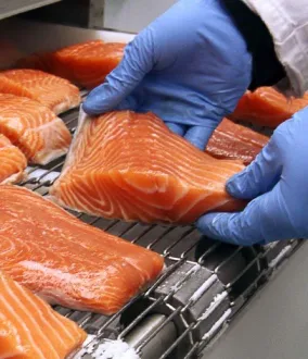 Indústria alimentar