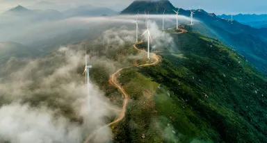 Eco Origin