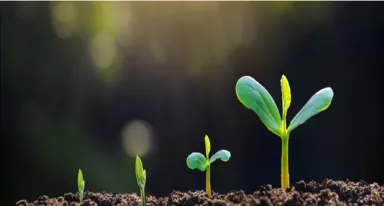 A Air Liquide associa-se com a Rothschild & Co e a Fundação Solar Impulse para lançar um fundo de investimento de 200 milhões de euros