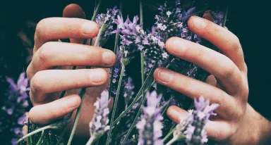 ingredients_aromas