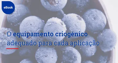 Escolha o equipamento de congelação certo